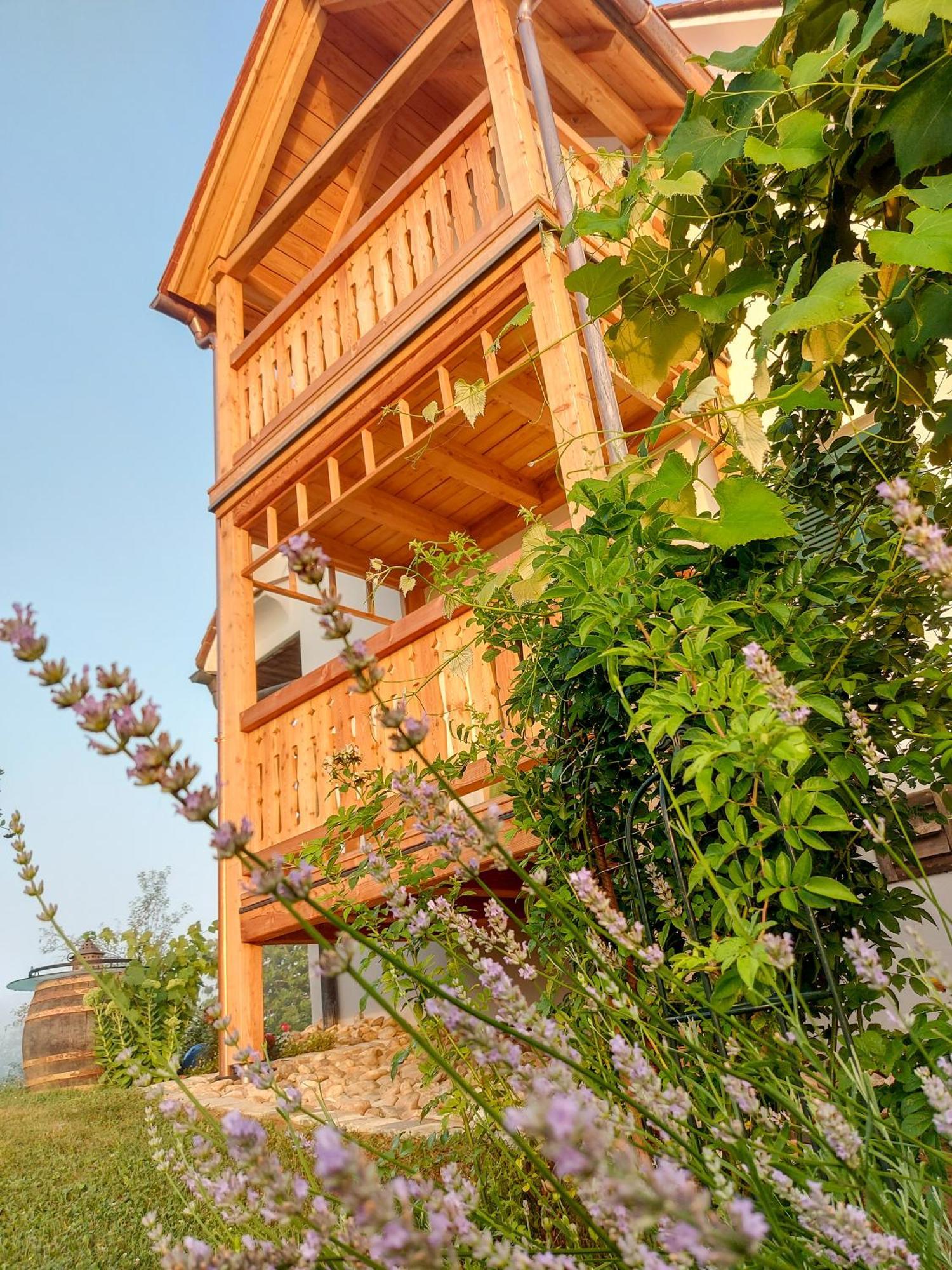 Sonnenhaus Grandl Appartement Feldbach  Buitenkant foto