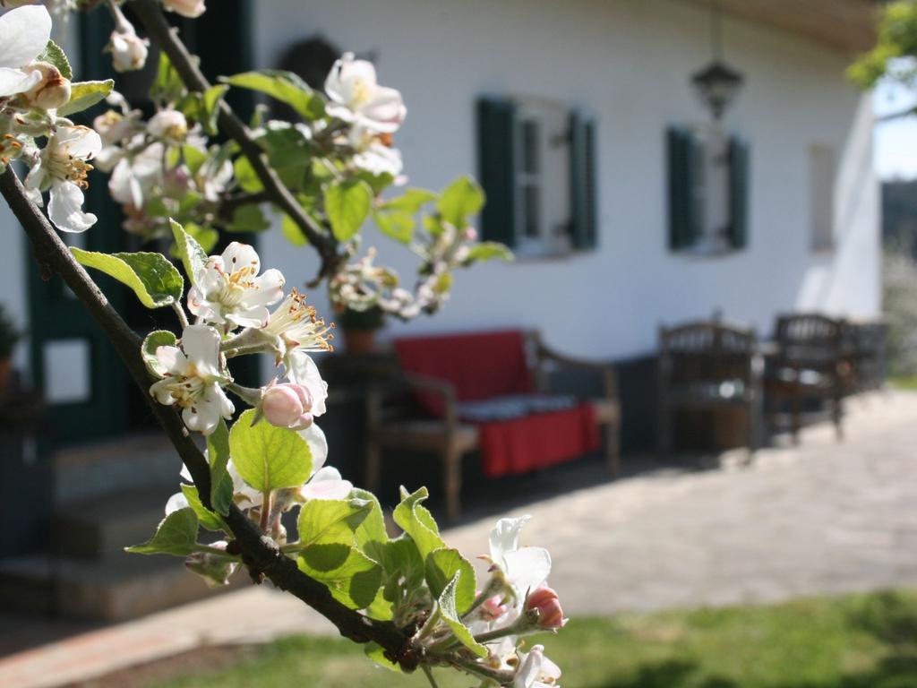 Sonnenhaus Grandl Appartement Feldbach  Buitenkant foto
